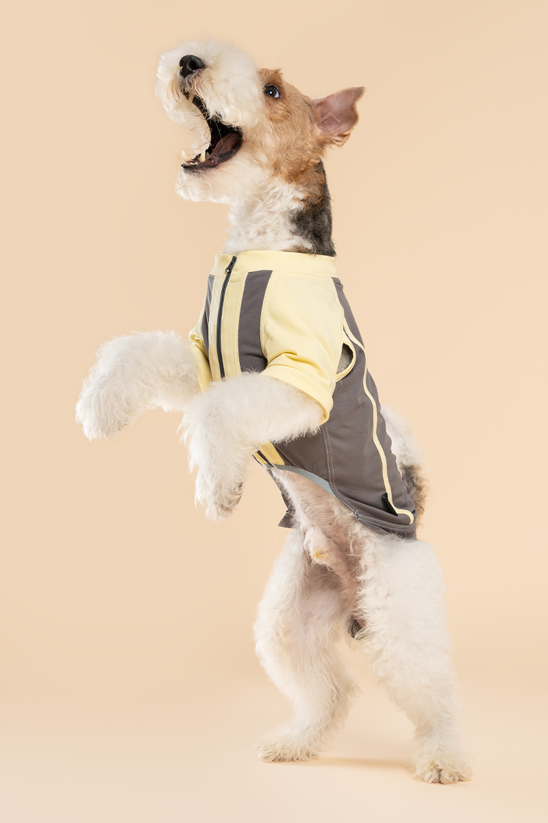 Lemonade Cotton Shirt
