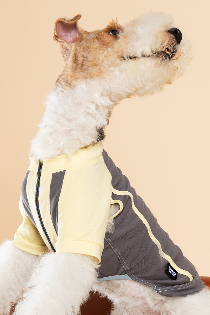 Lemonade Cotton Shirt
