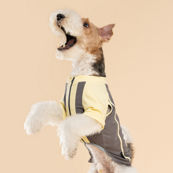 Lemonade Cotton Shirt