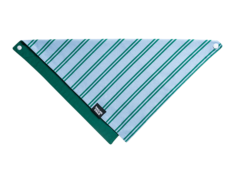 Lucky Striped Bandana