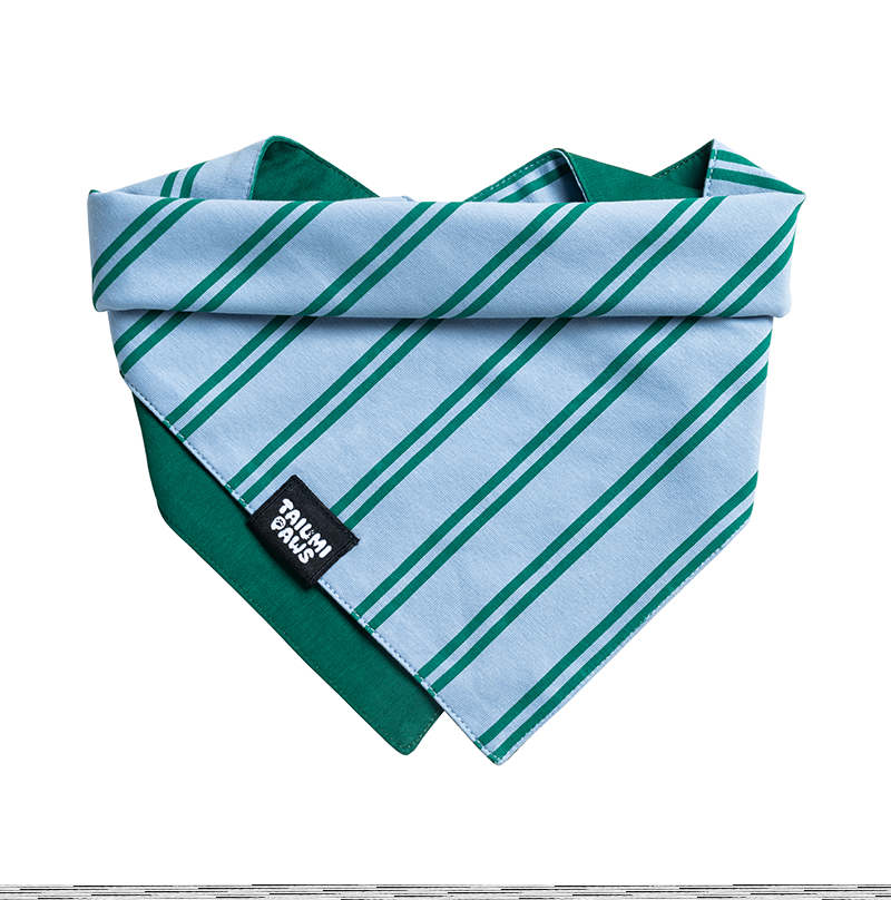 Lucky Striped Bandana