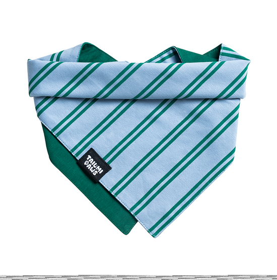 Lucky Striped Bandana