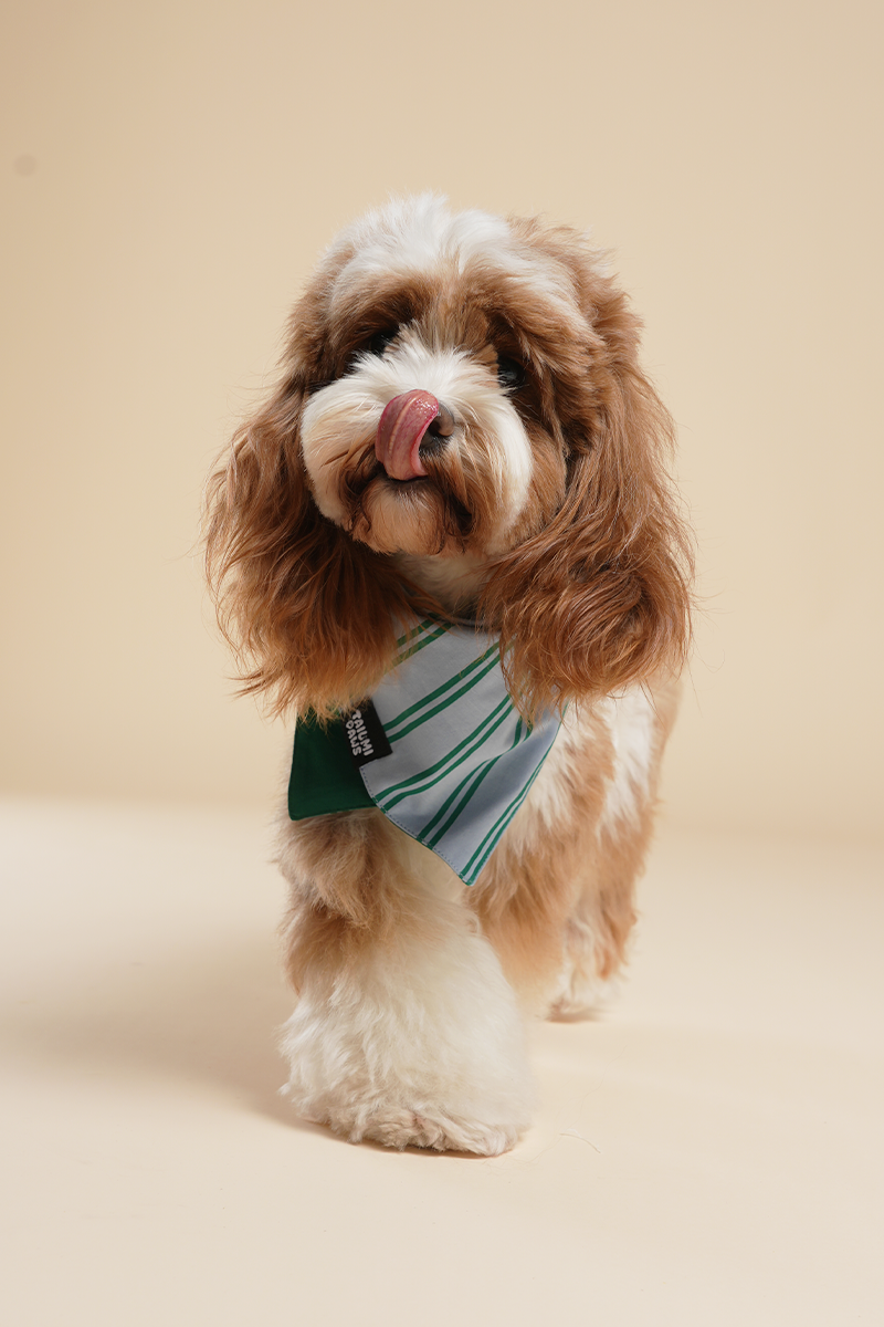 Lucky Striped Bandana