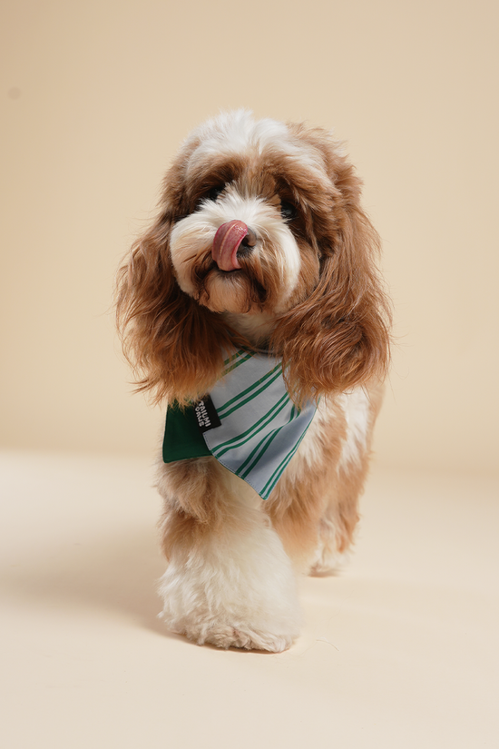 Lucky Striped Bandana