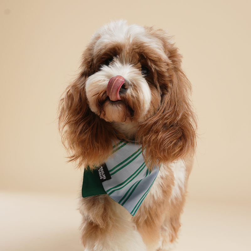 Lucky Striped Bandana