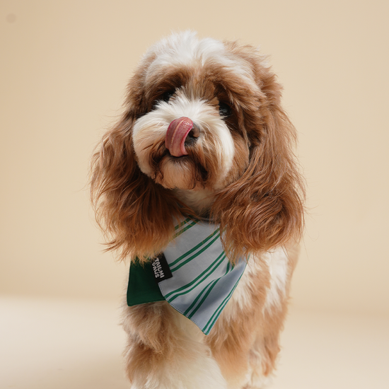 Lucky Striped Bandana