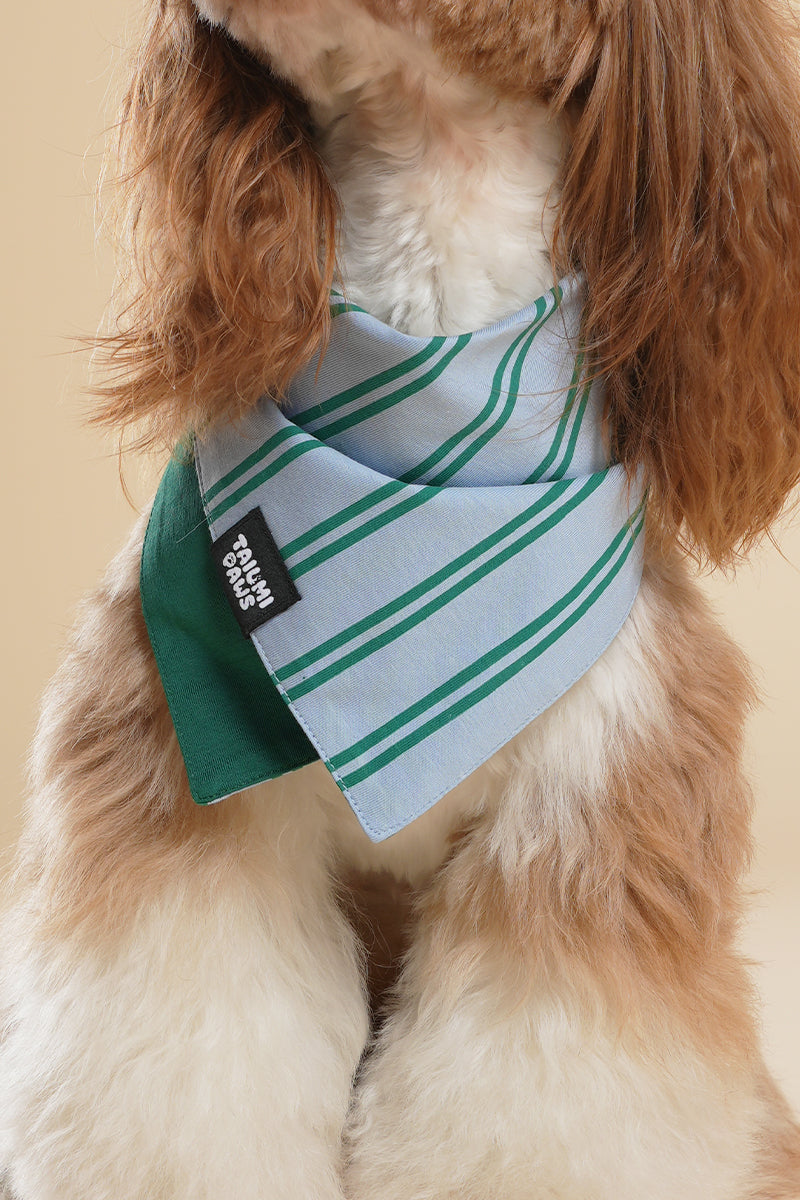 Lucky Striped Bandana