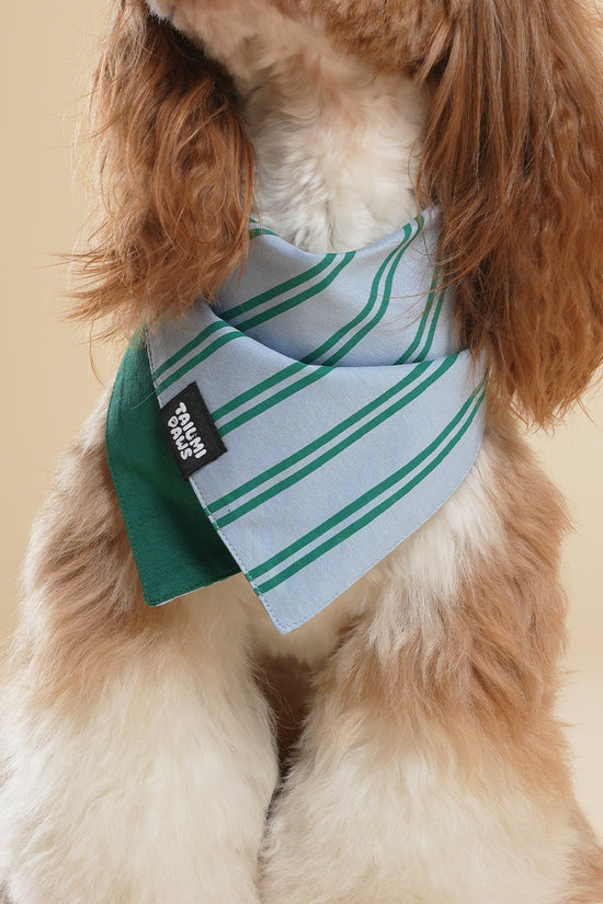 Lucky Striped Bandana