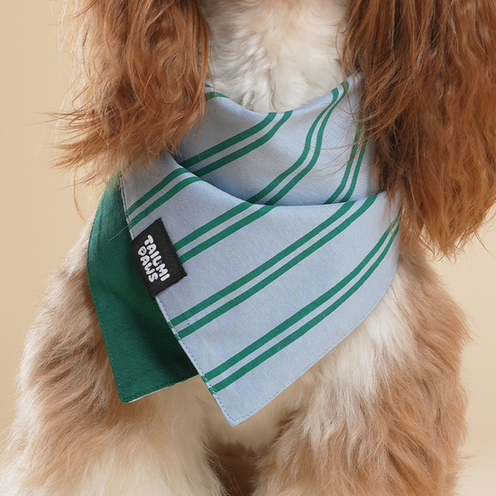 Lucky Striped Bandana