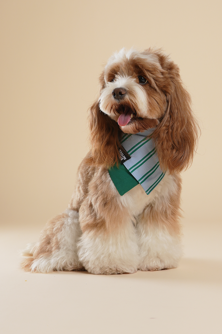 Lucky Striped Bandana