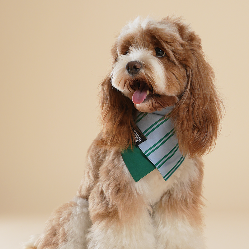 Lucky Striped Bandana