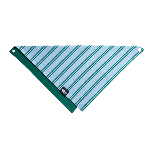 Lucky Striped Bandana