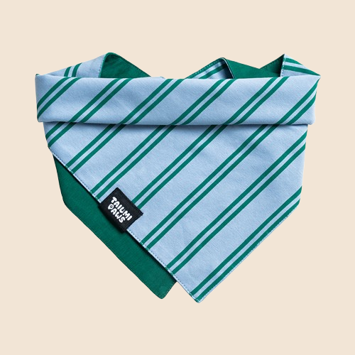Lucky Striped Bandana