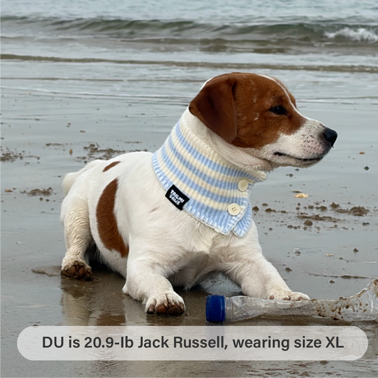 Sea Glimmer Knit Striped Bandana