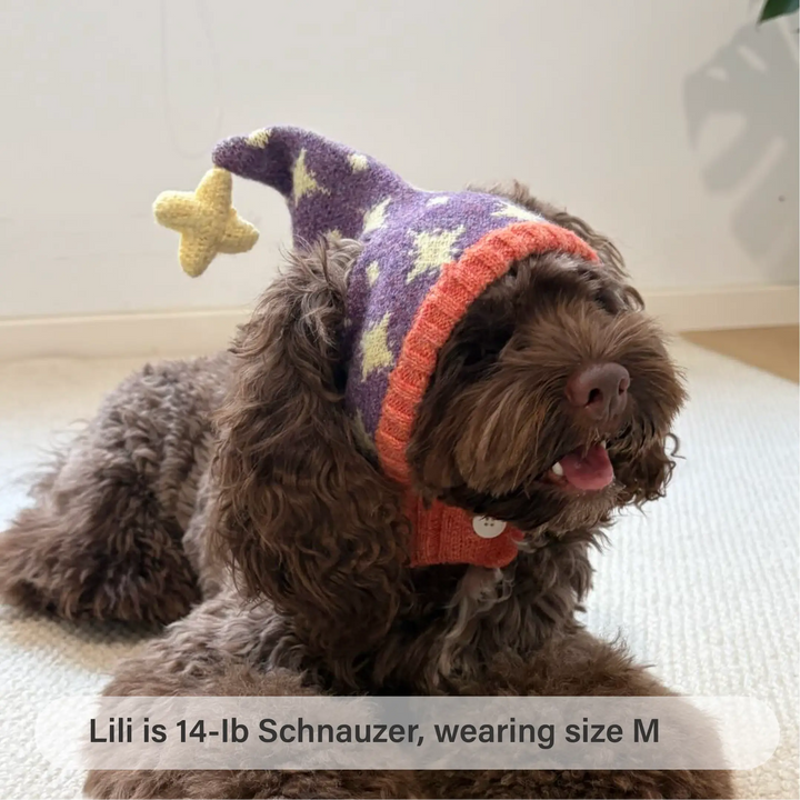 Starry Spell Knit Hat