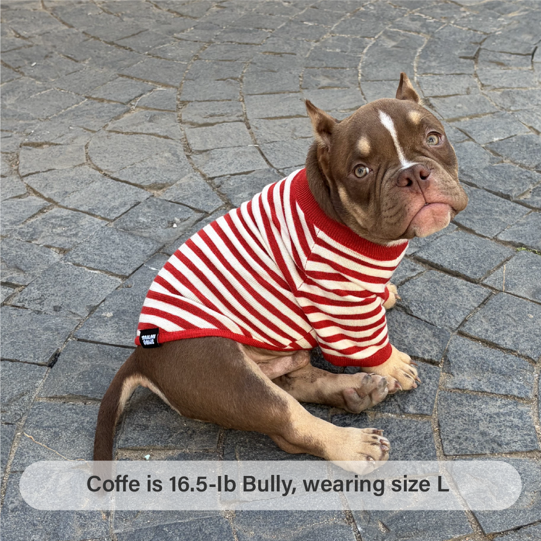 Strawberry Candy Knit Striped Shirt