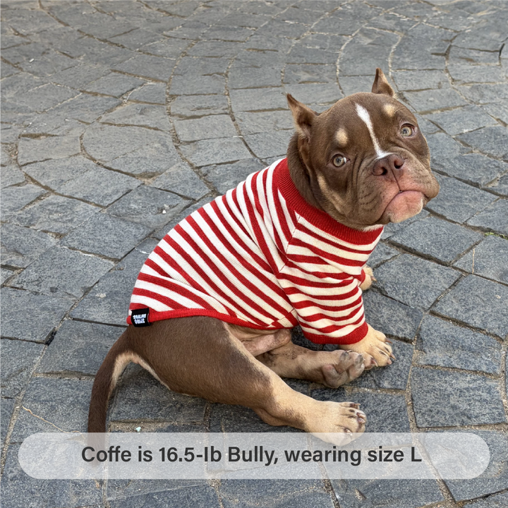 Strawberry Candy Knit Striped Shirt