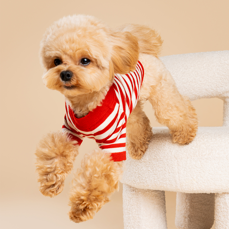 Strawberry Candy Knit Striped Shirt