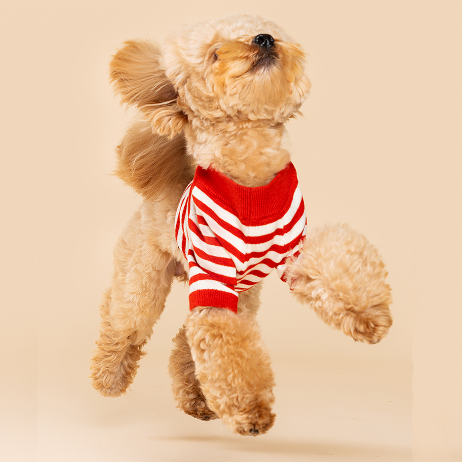 Strawberry Candy Knit Striped Shirt