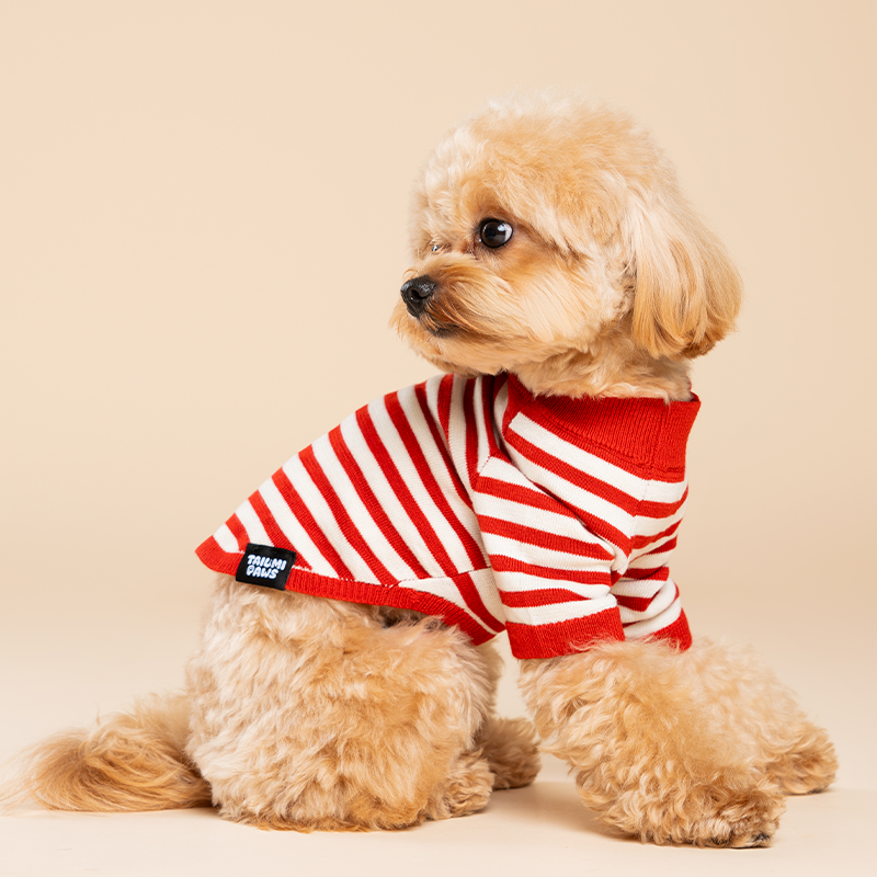 Strawberry Candy Knit Striped Shirt