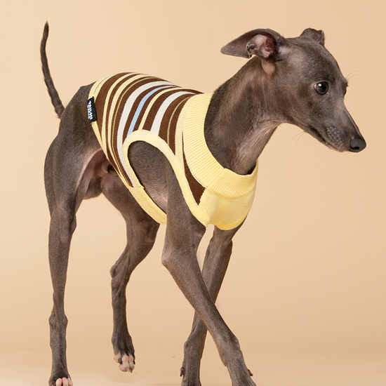 Sweet Donut Knit Striped Tank Top