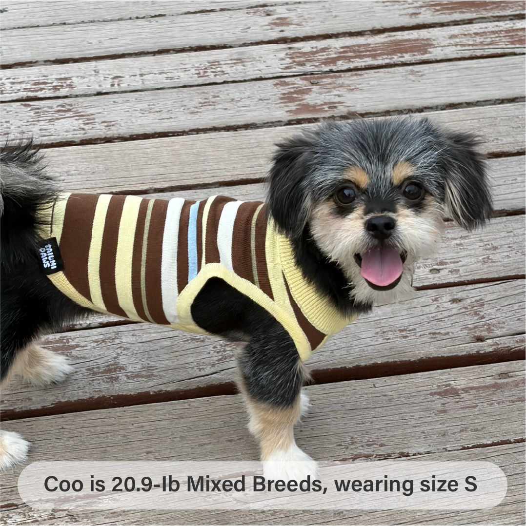 Sweet Donut Knit Striped Tank Top